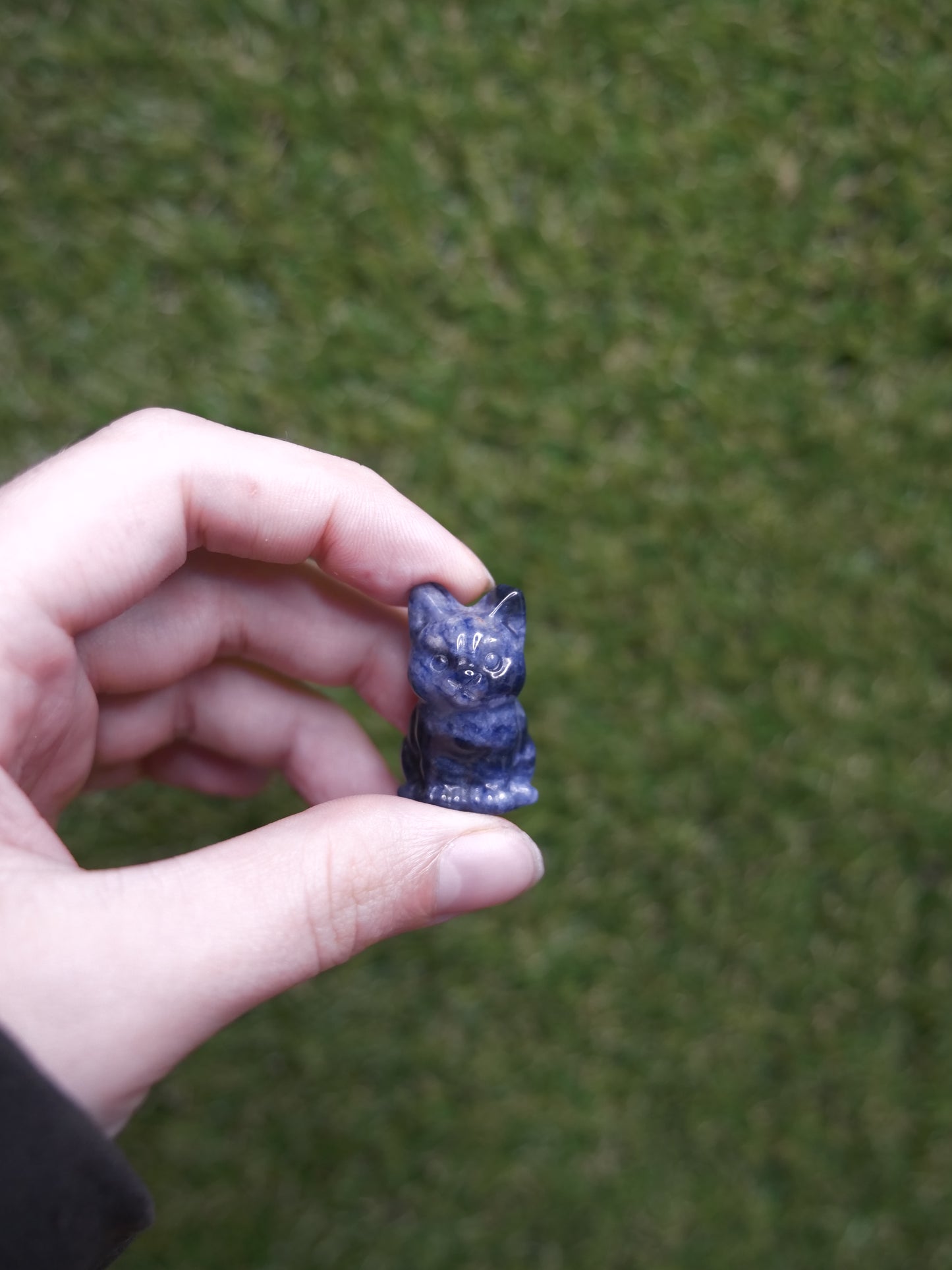 Sodalite Miniature Cat