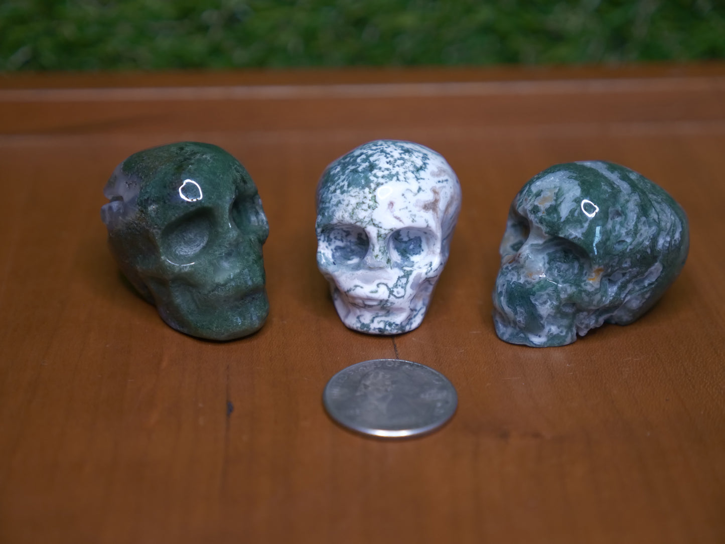 Moss Agate Skull