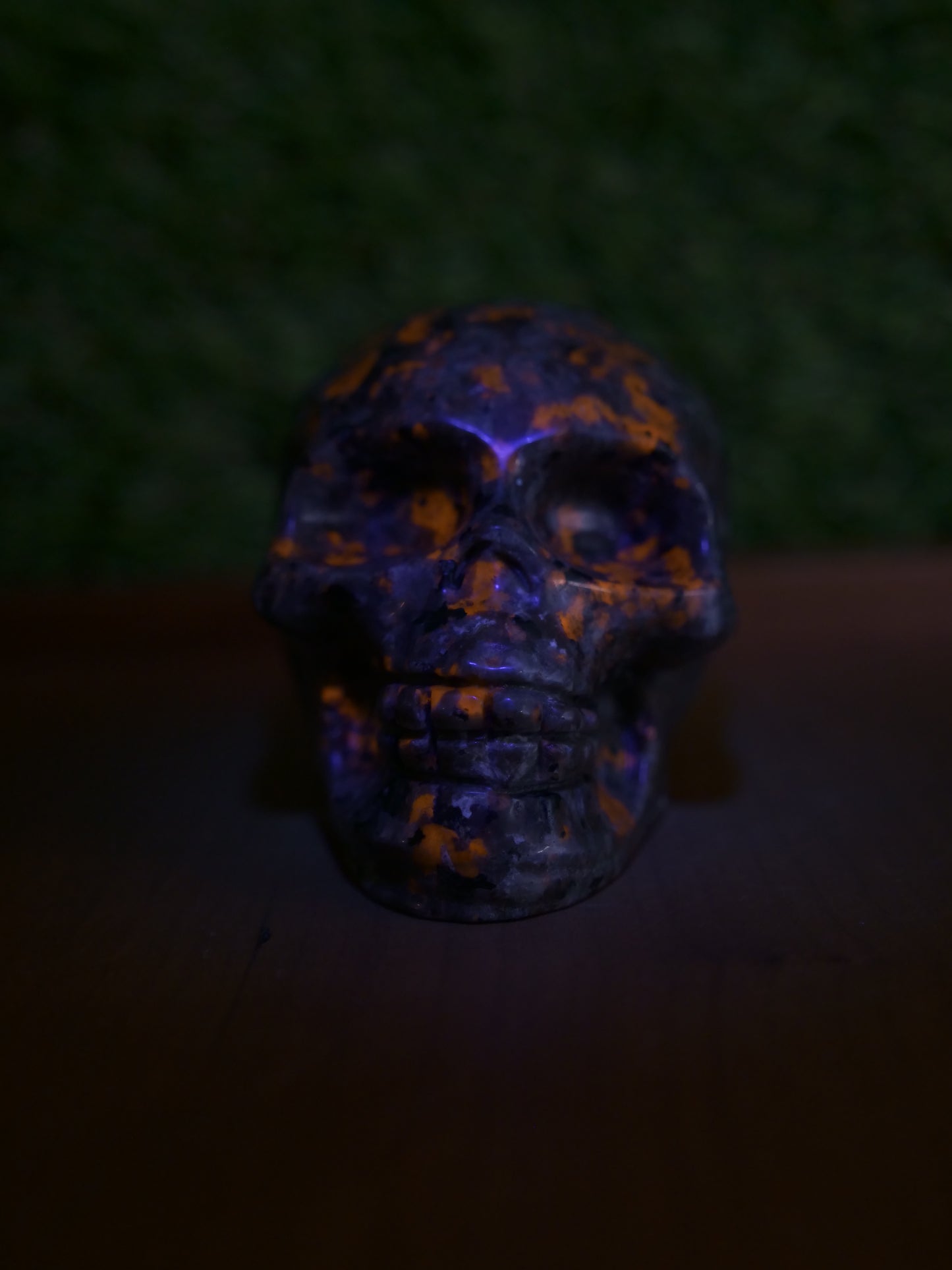 Yooperlite Skull