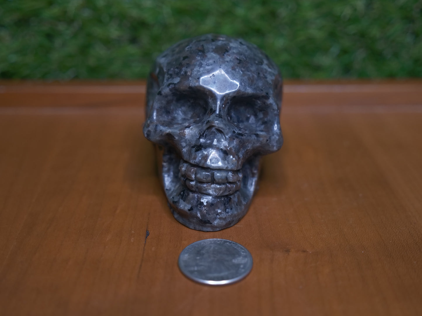 Yooperlite Skull