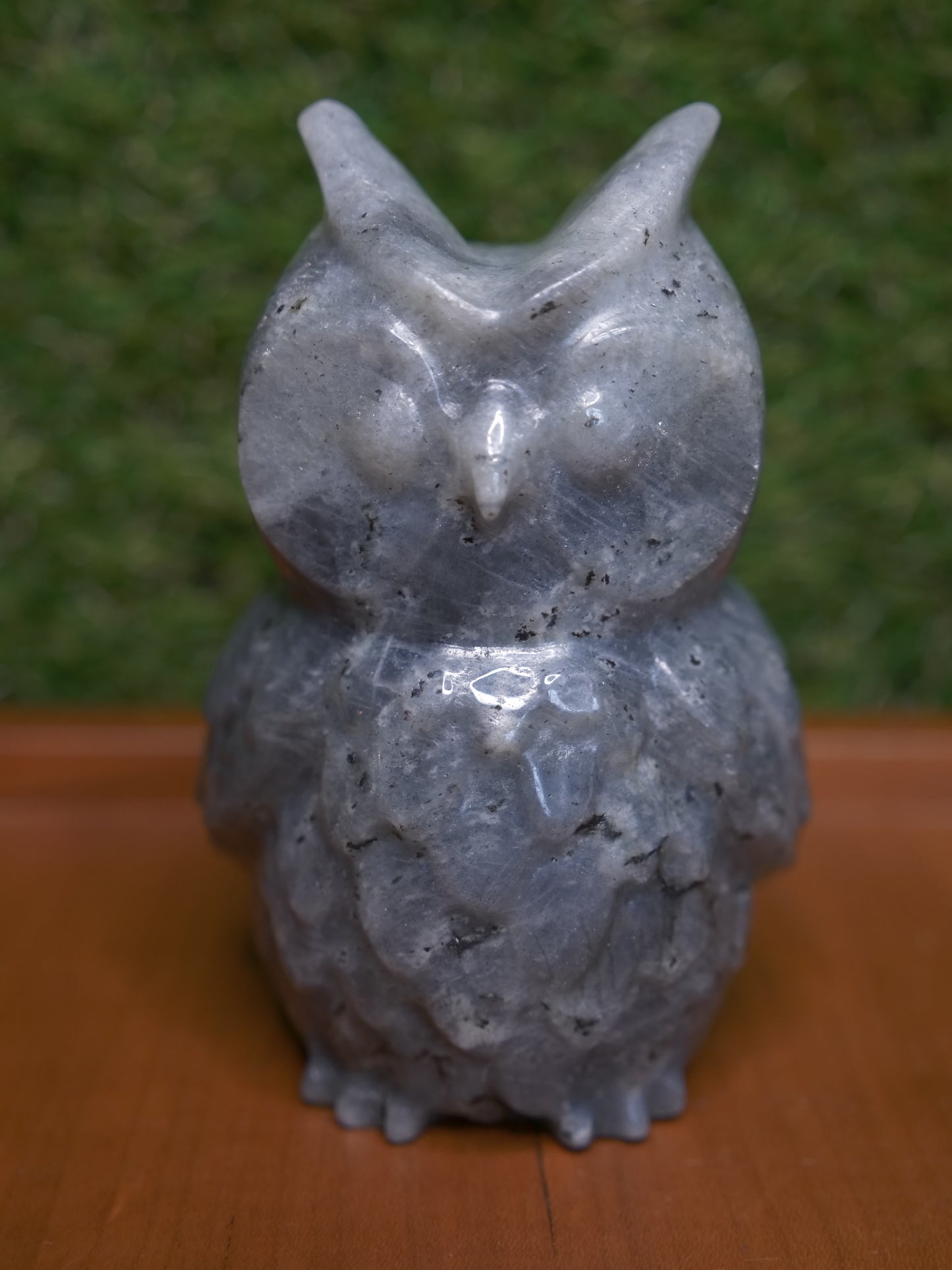 Labradorite Owl