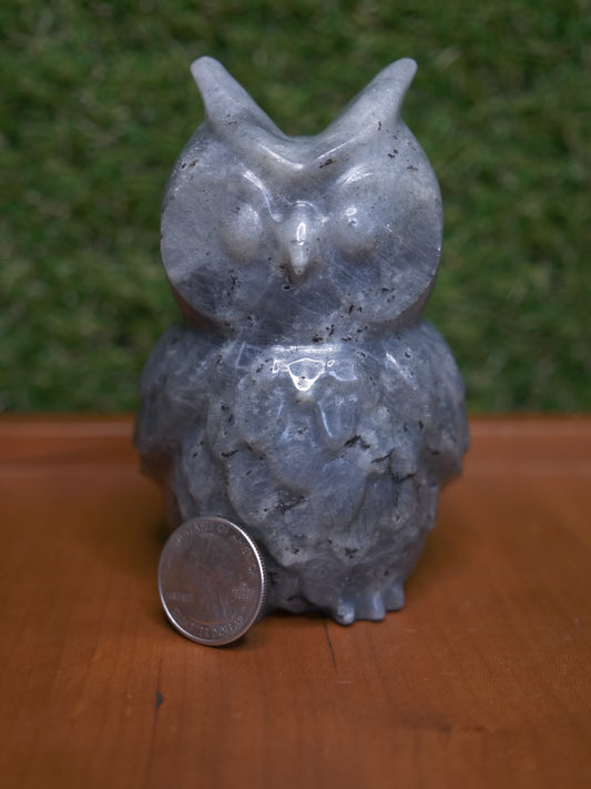 Labradorite Owl
