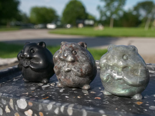 Hamster Carving